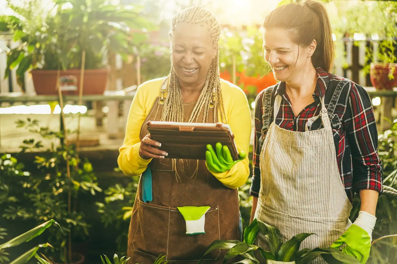 Smart garden czyli inteligentne technologie w ogrodzie